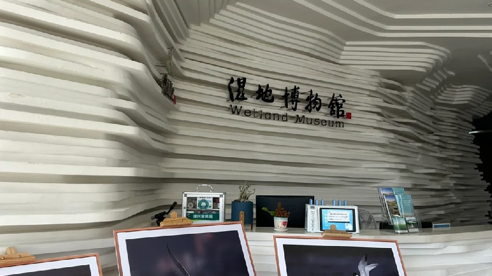 專注、專業、專心，閩江口濕地博物館項目施工